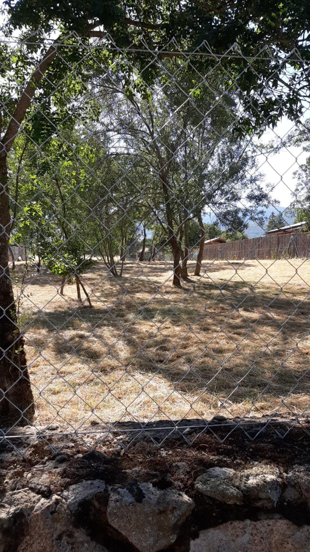  for sale plot Villavieja Del Lozoya Sierra Norte 7