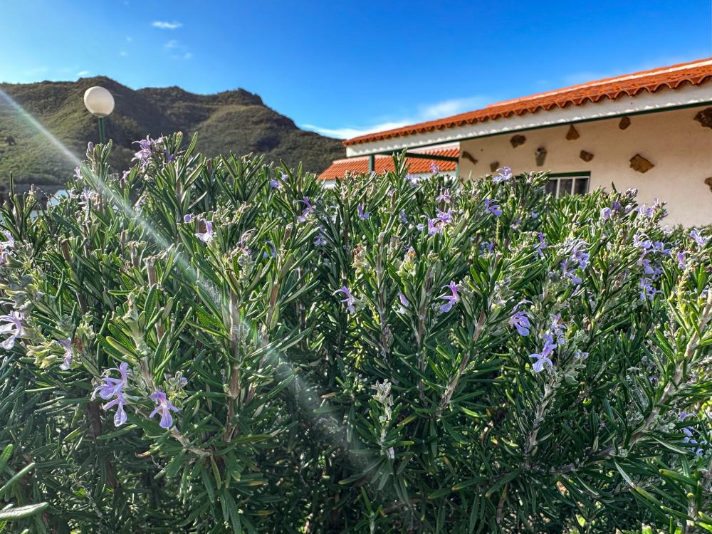  for sale country house El Socorro Zona Metropolitana 21