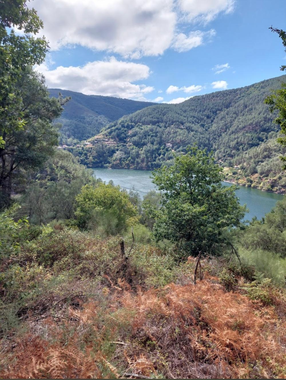  for sale house Serode Tierra De Lemos 8