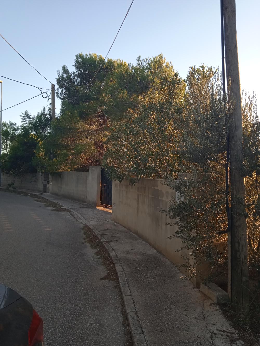  for sale plot Alberic Ribera Alta 2