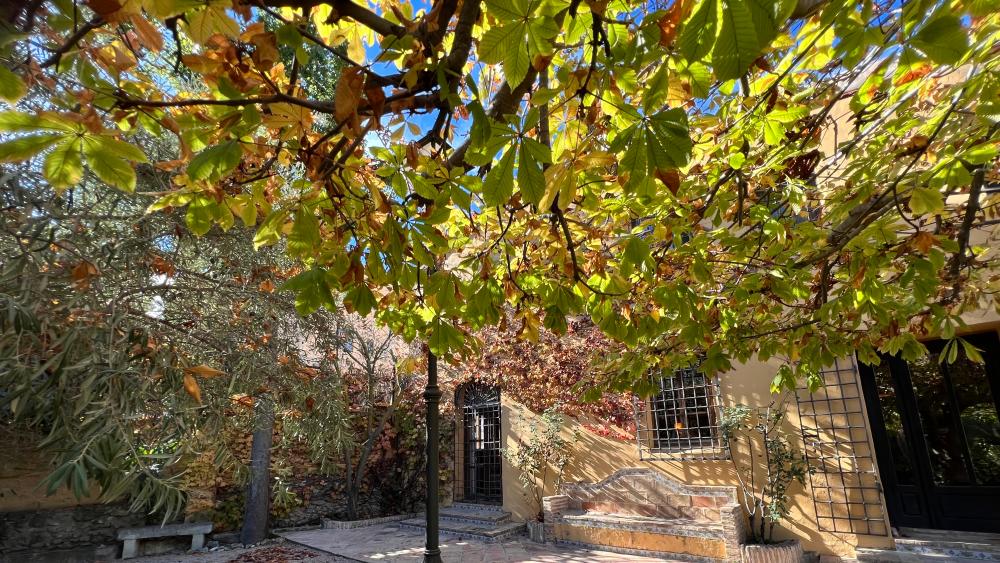  for sale villa Biar Alt Vinalopó 19