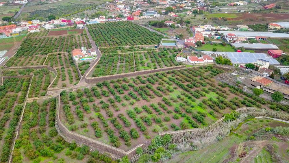  for sale country house El Socorro Zona Metropolitana 9