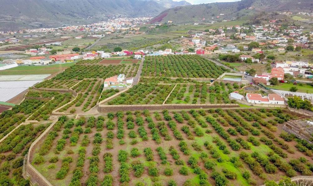  for sale country house El Socorro Zona Metropolitana 7