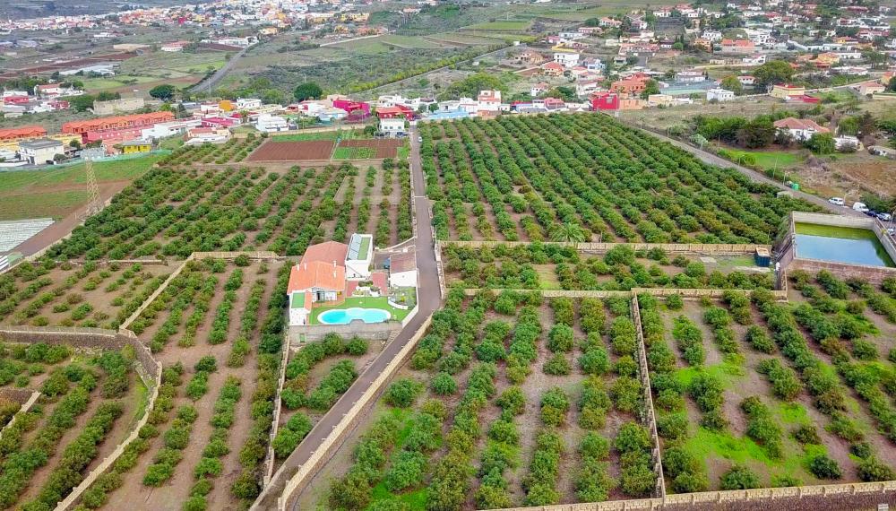  for sale country house El Socorro Zona Metropolitana 11