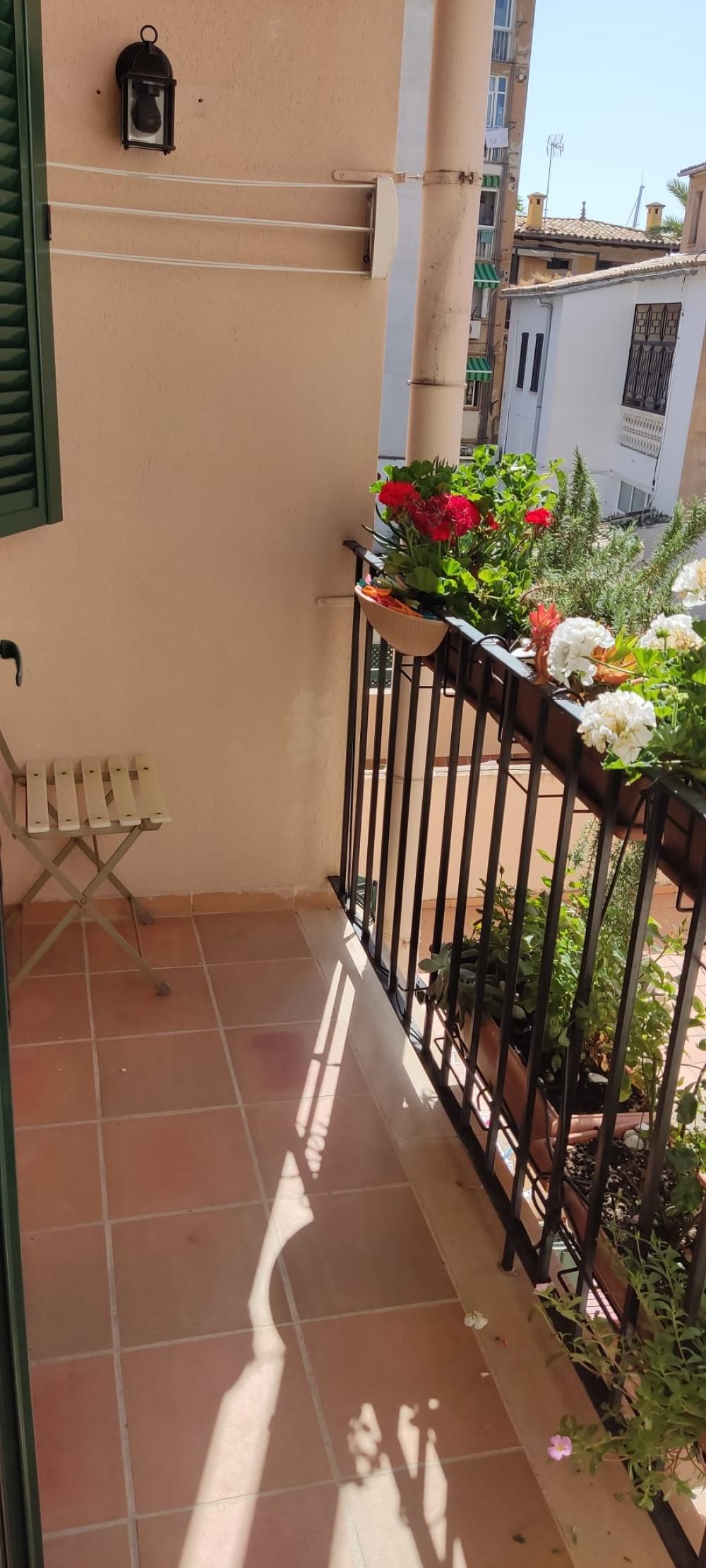  for sale semi-detached house Son Armadams-El Terreno Palma 4
