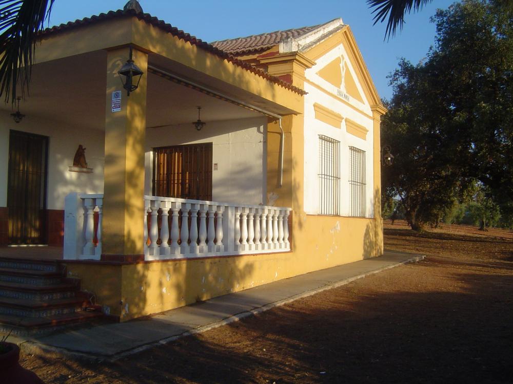  for sale country house Almendralejo Tierra De Barros 3