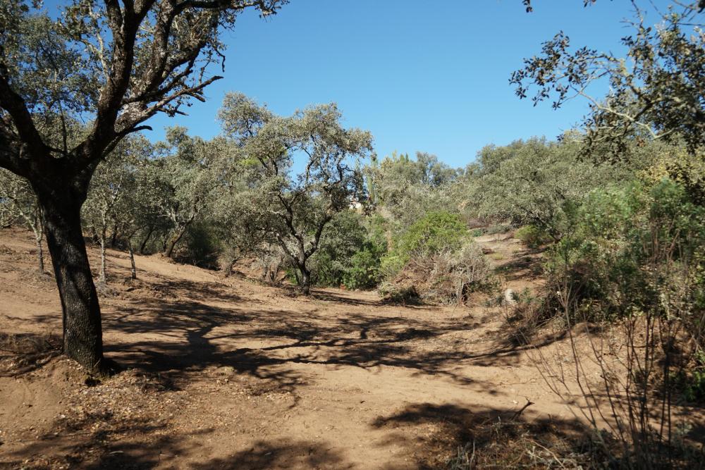  for sale plot Campoamor Urb. Sierra Norte 8