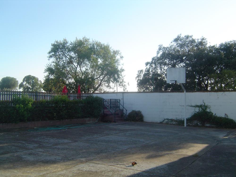 for sale country house Almendralejo Tierra De Barros 6