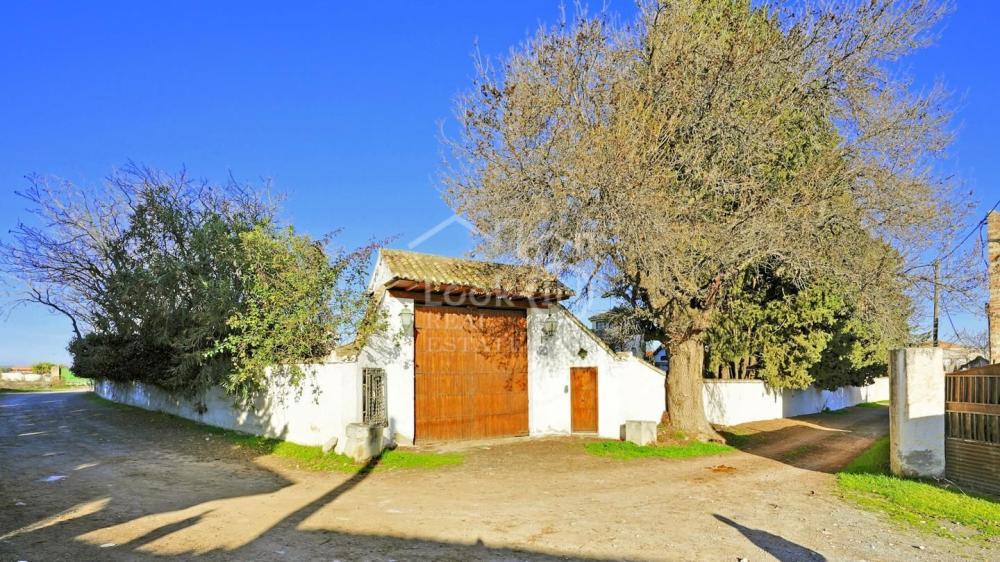  for sale country house Ronda Vega De Granada 4