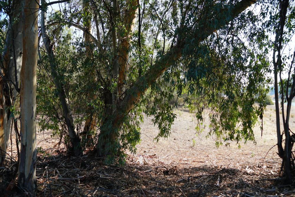  for sale plot Campoamor Urb. Sierra Norte 6