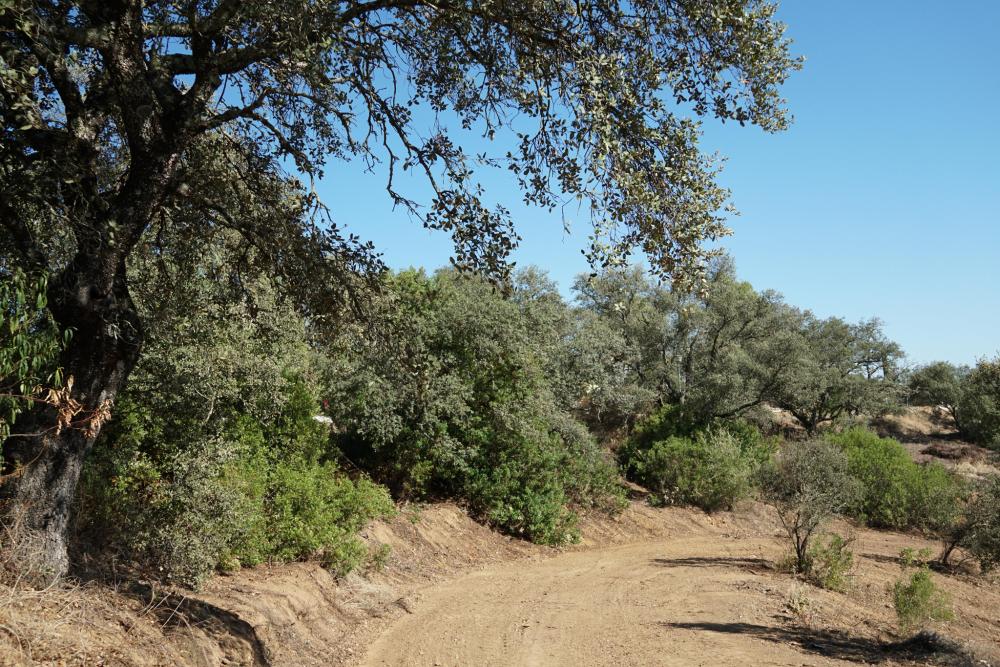  for sale plot Campoamor Urb. Sierra Norte 3