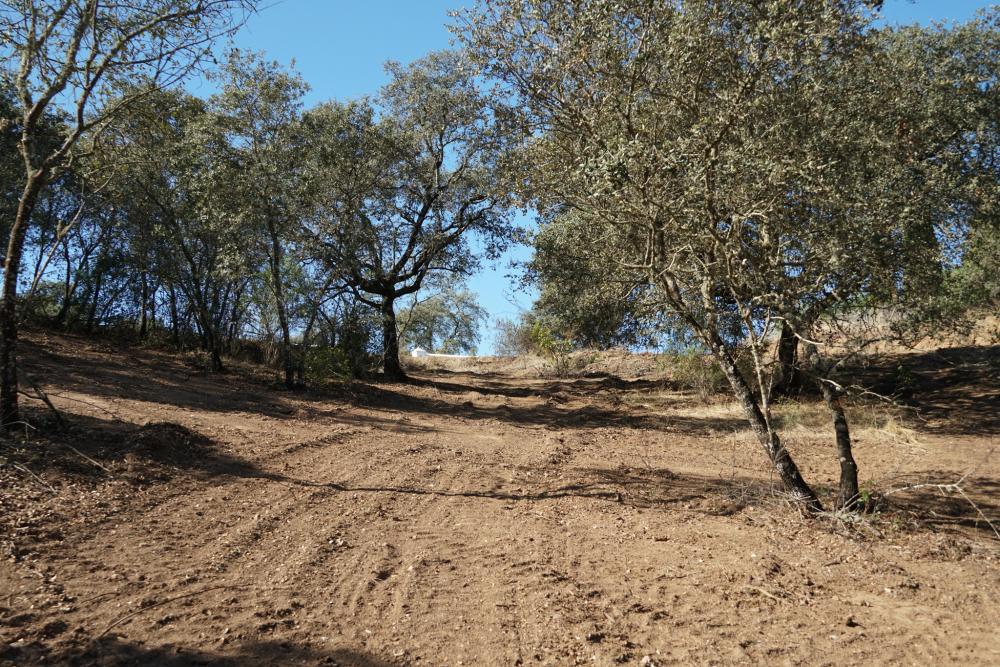  for sale plot Campoamor Urb. Sierra Norte 4