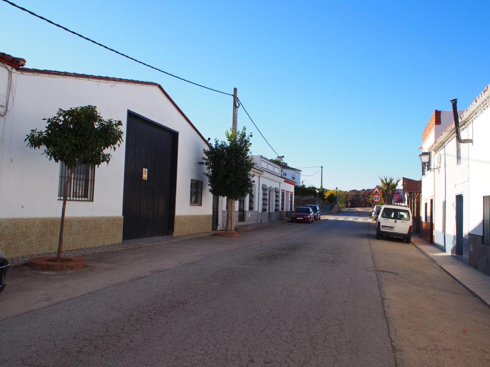  for sale house Puebla Del Maestre Campiña Sur 10