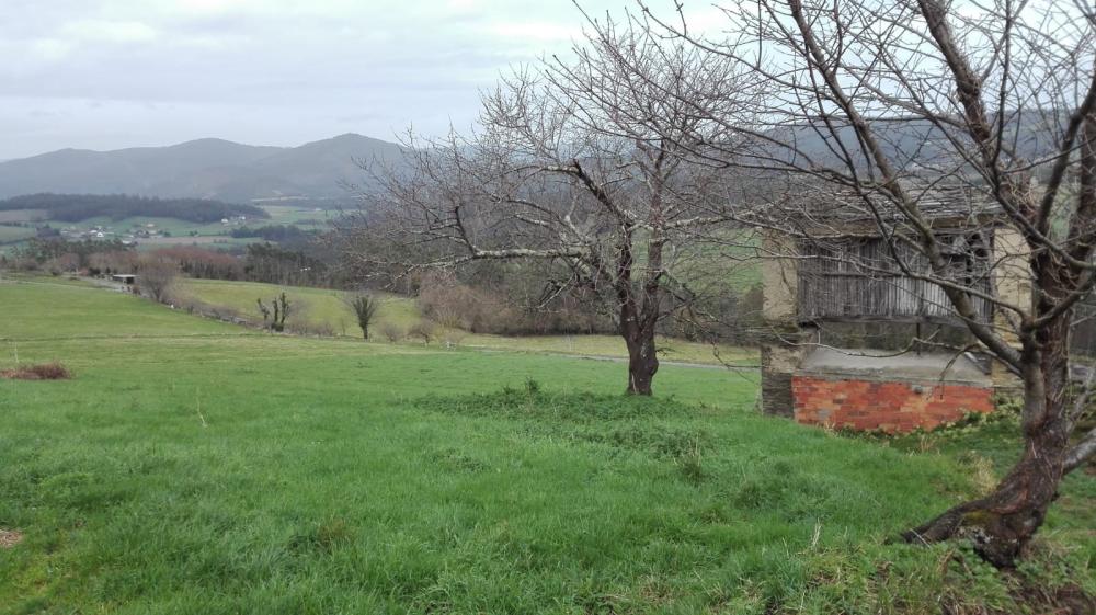  for sale country house Cabarcos Mariña Oriental 14