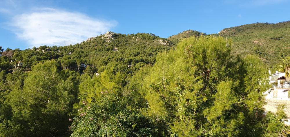  for sale villa Benicasim Plana Alta 40