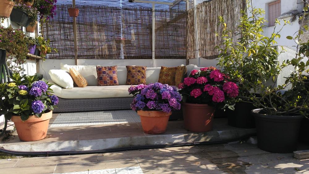  for sale house Vejer De La Frontera Janda (La) 3