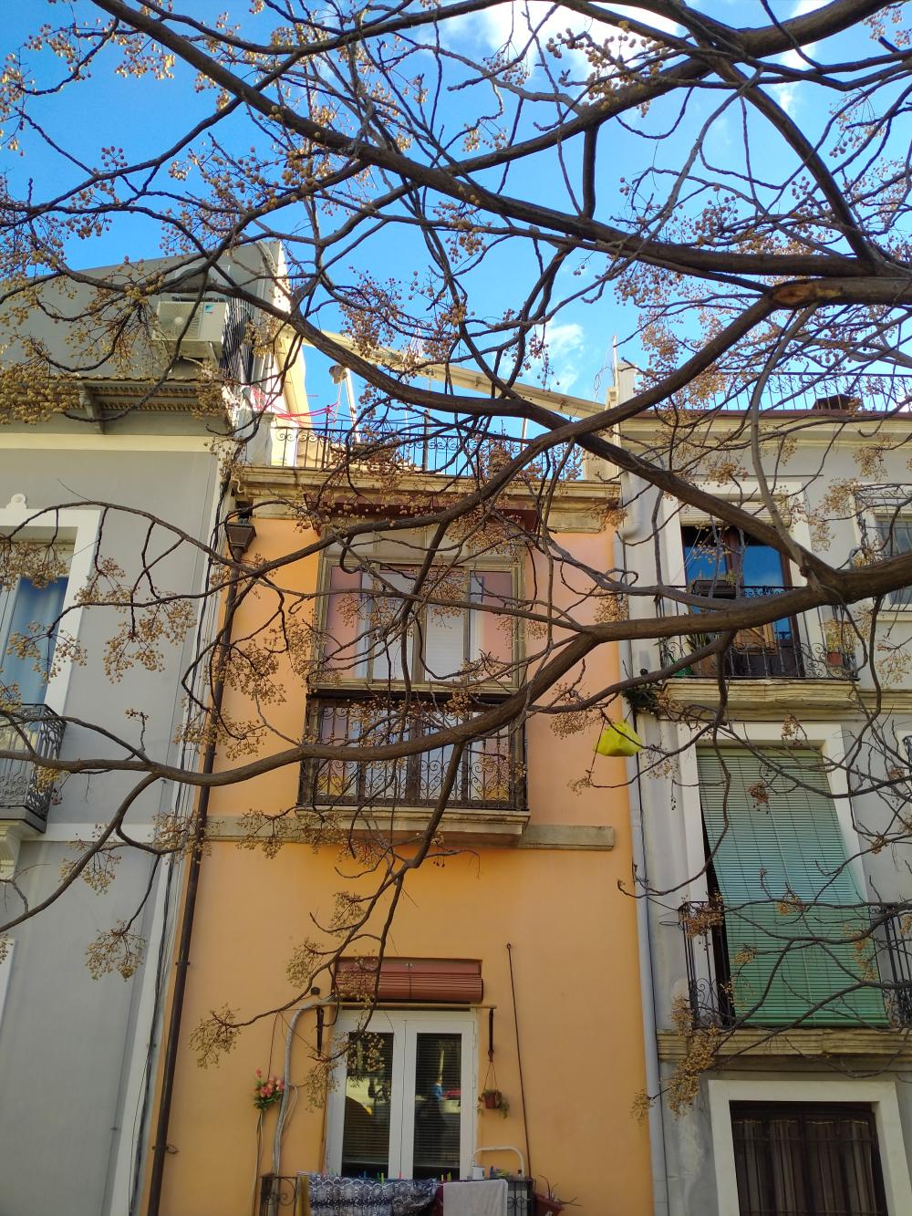  for sale building Santa Cruz-Casco Antiguo Alacantí 4