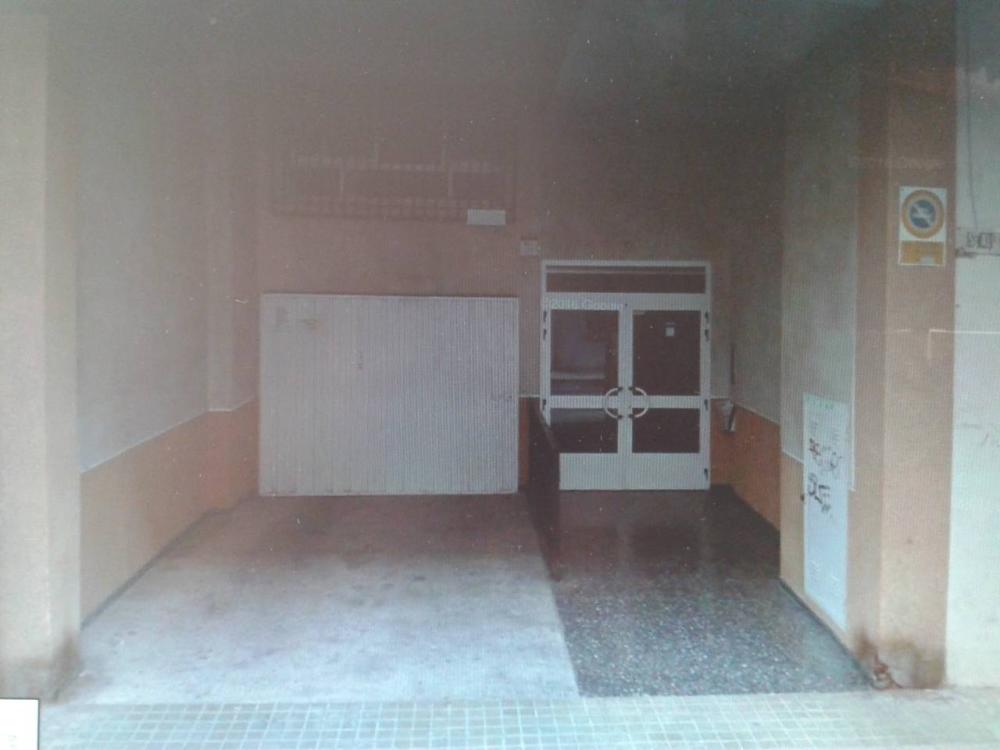  for sale apartment Cruz De Gracia Horta Oest 1