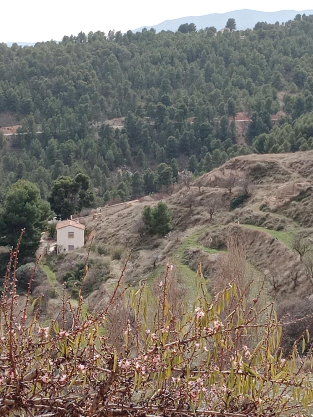  for sale country house Vélez Blanco Comarca De Los Vélez 6