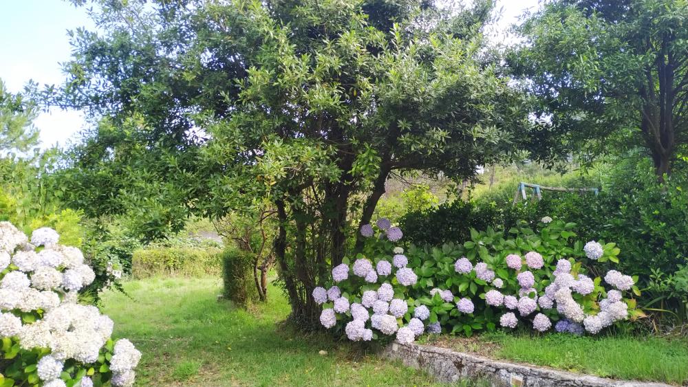  for sale house A Brixeria Bergantiños 31