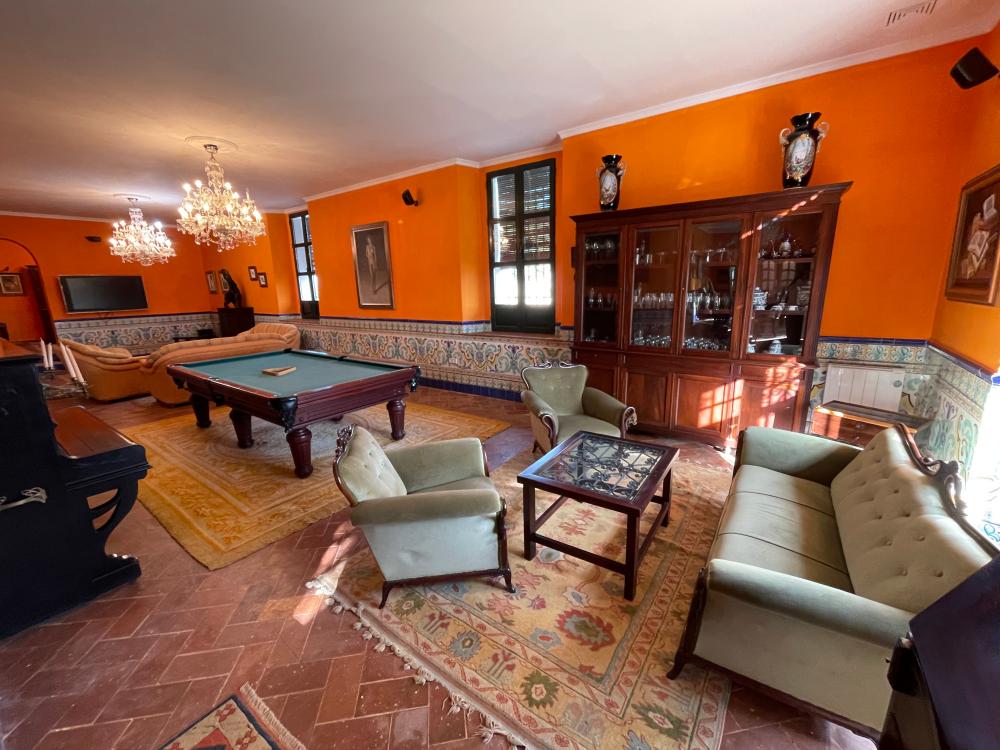  for sale villa Carmona Campiña De Carmona 6