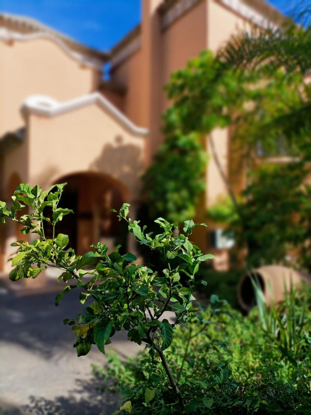  for sale villa La Quinta Costa Del Sol Occidental 9