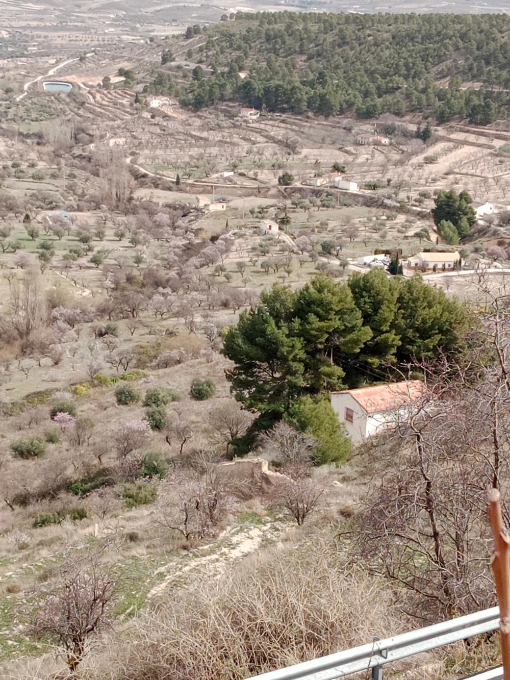  for sale country house Vélez Blanco Comarca De Los Vélez 5