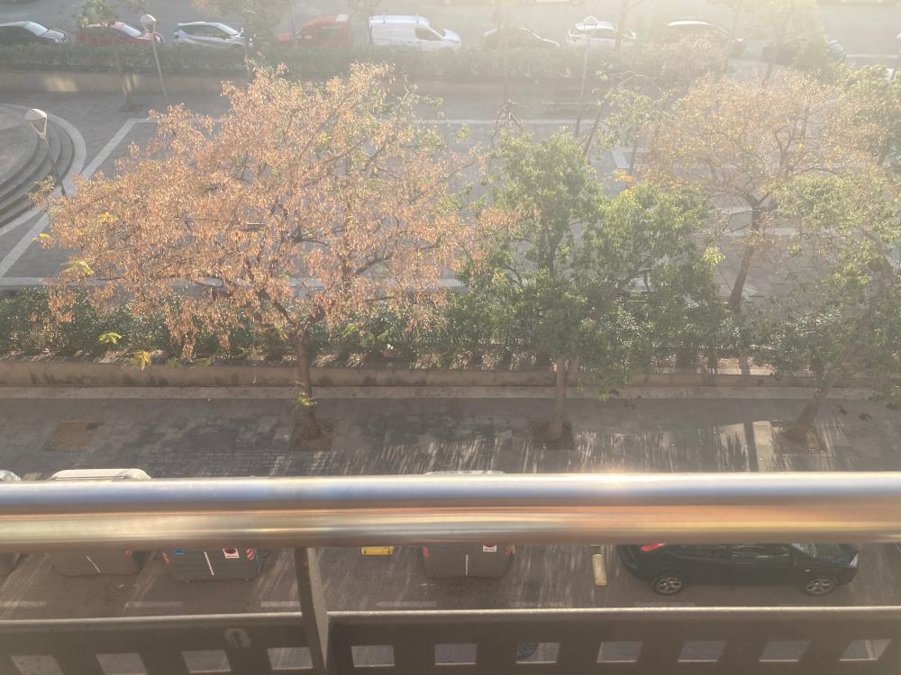  for sale apartment L'hospitalet De Llobregat Centre Barcelonès 12