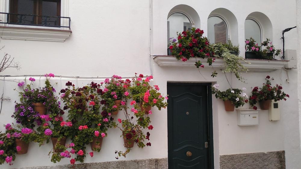  for sale house Vejer De La Frontera Janda (La) 14