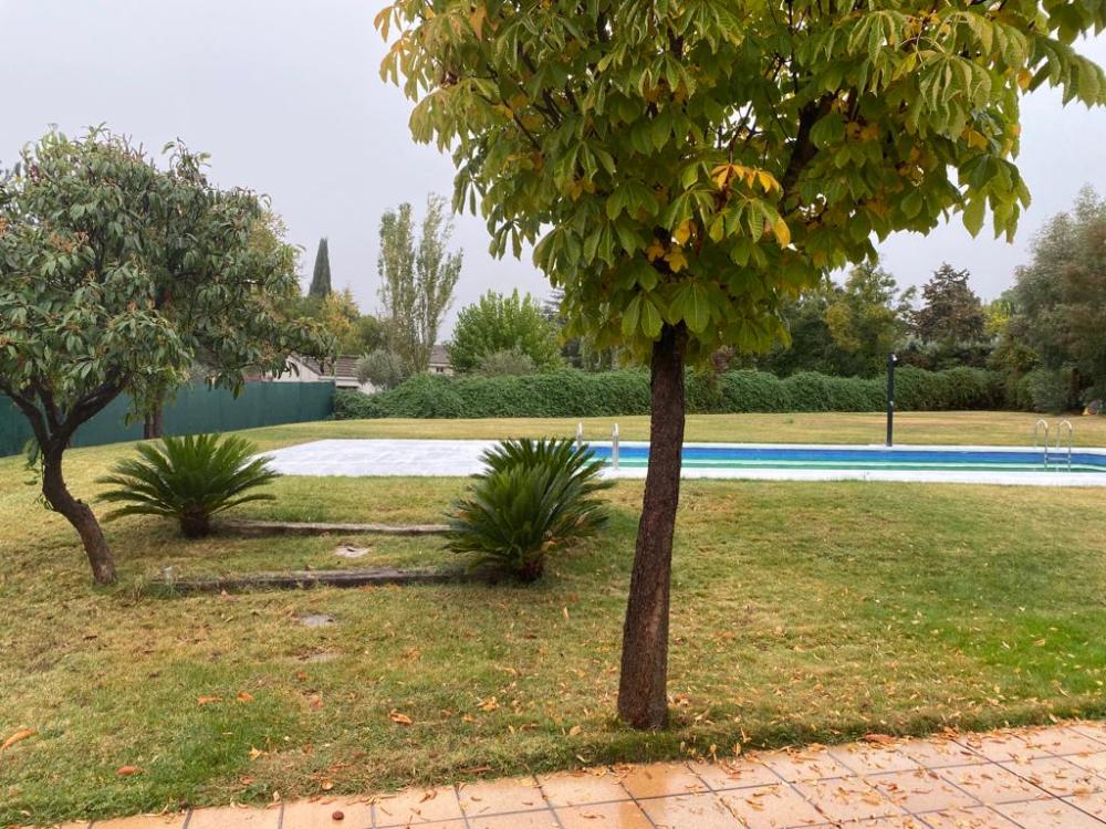  for sale house Boadilla Del Monte Cuenca Del Guadarrama 4