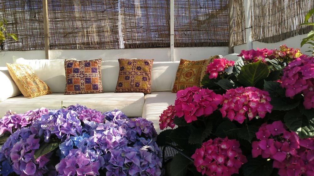  for sale house Vejer De La Frontera Janda (La) 2