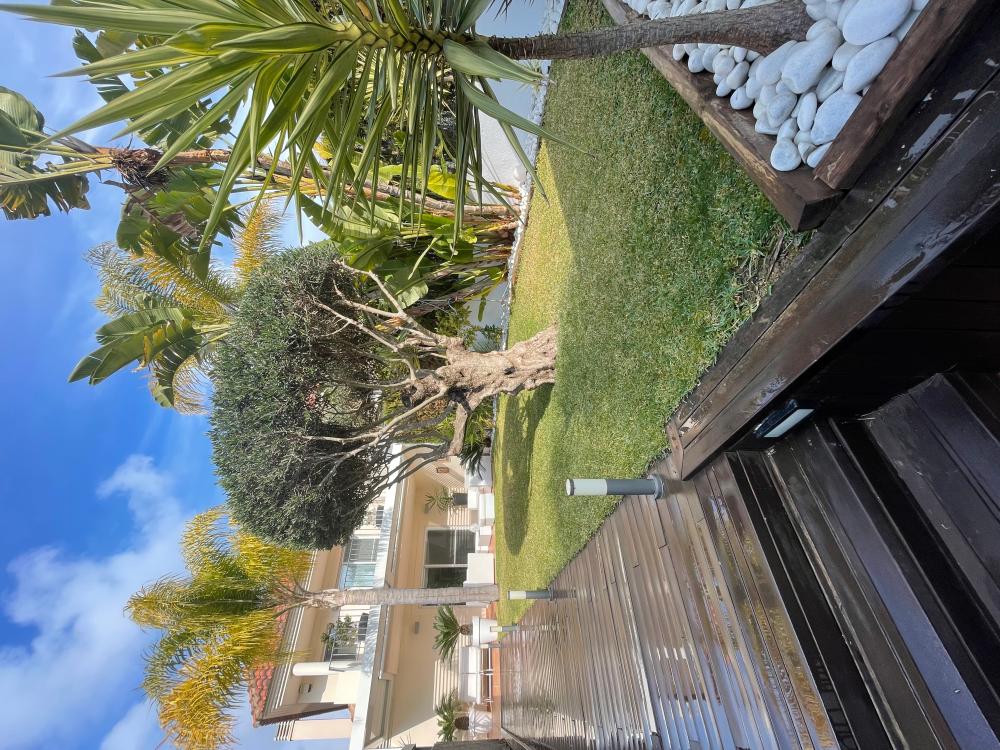  for sale villa Paterna Horta Oest 6