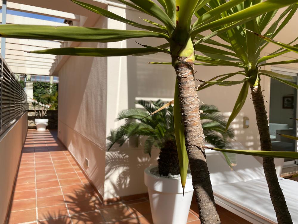  for sale villa Paterna Horta Oest 12