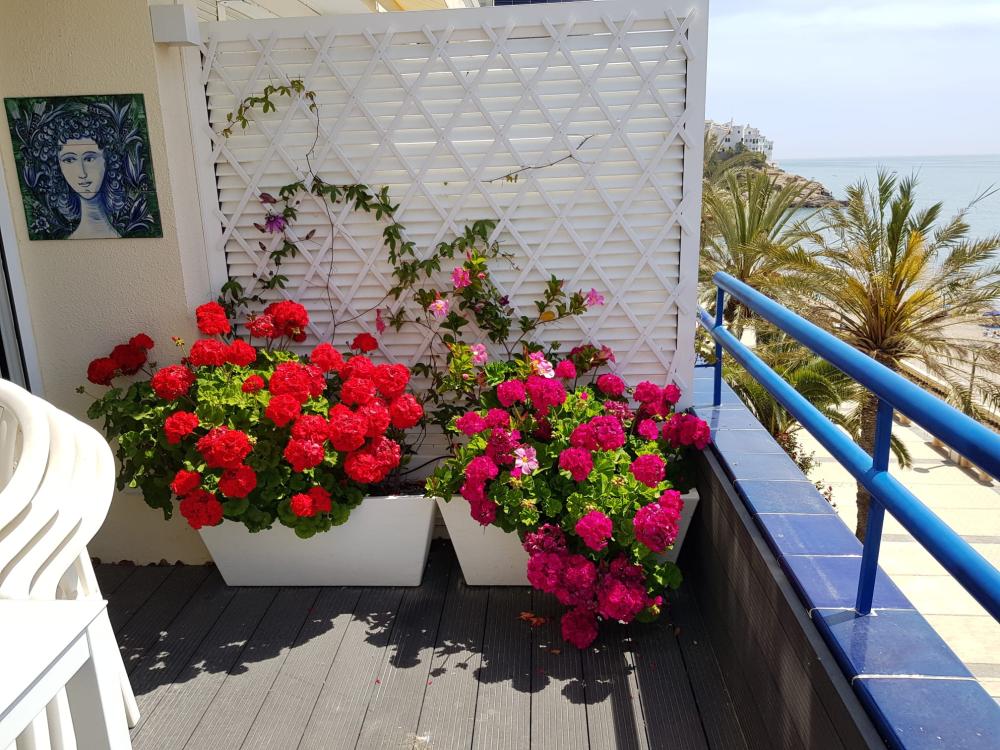  for sale penthouse Sitges Garraf 15