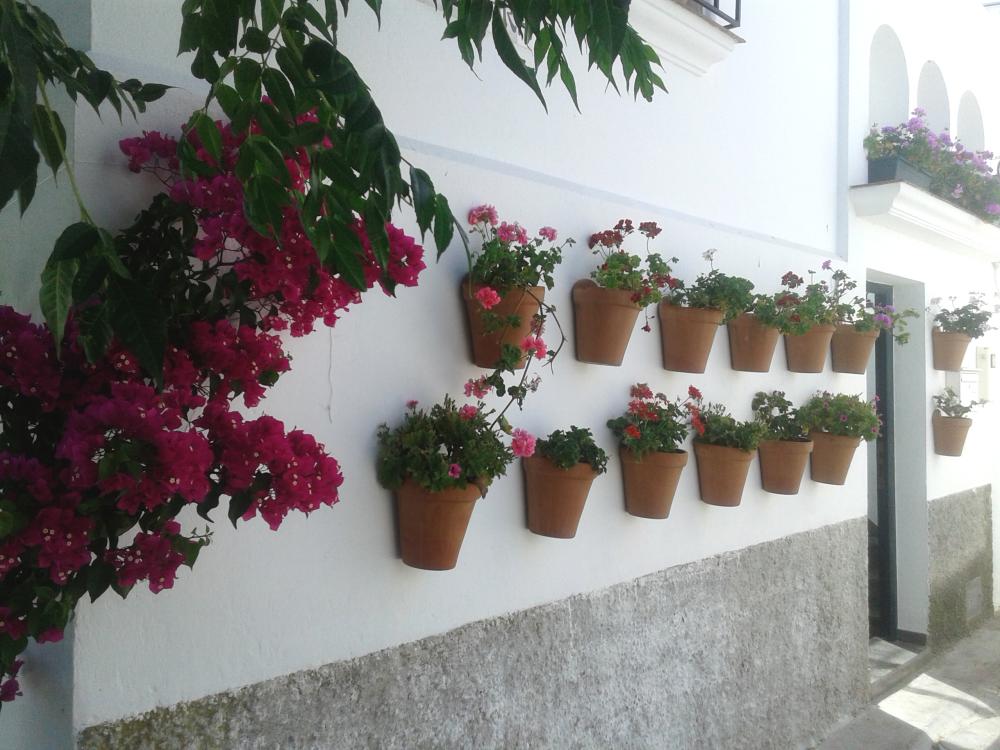 for sale house Vejer De La Frontera Janda (La) 13