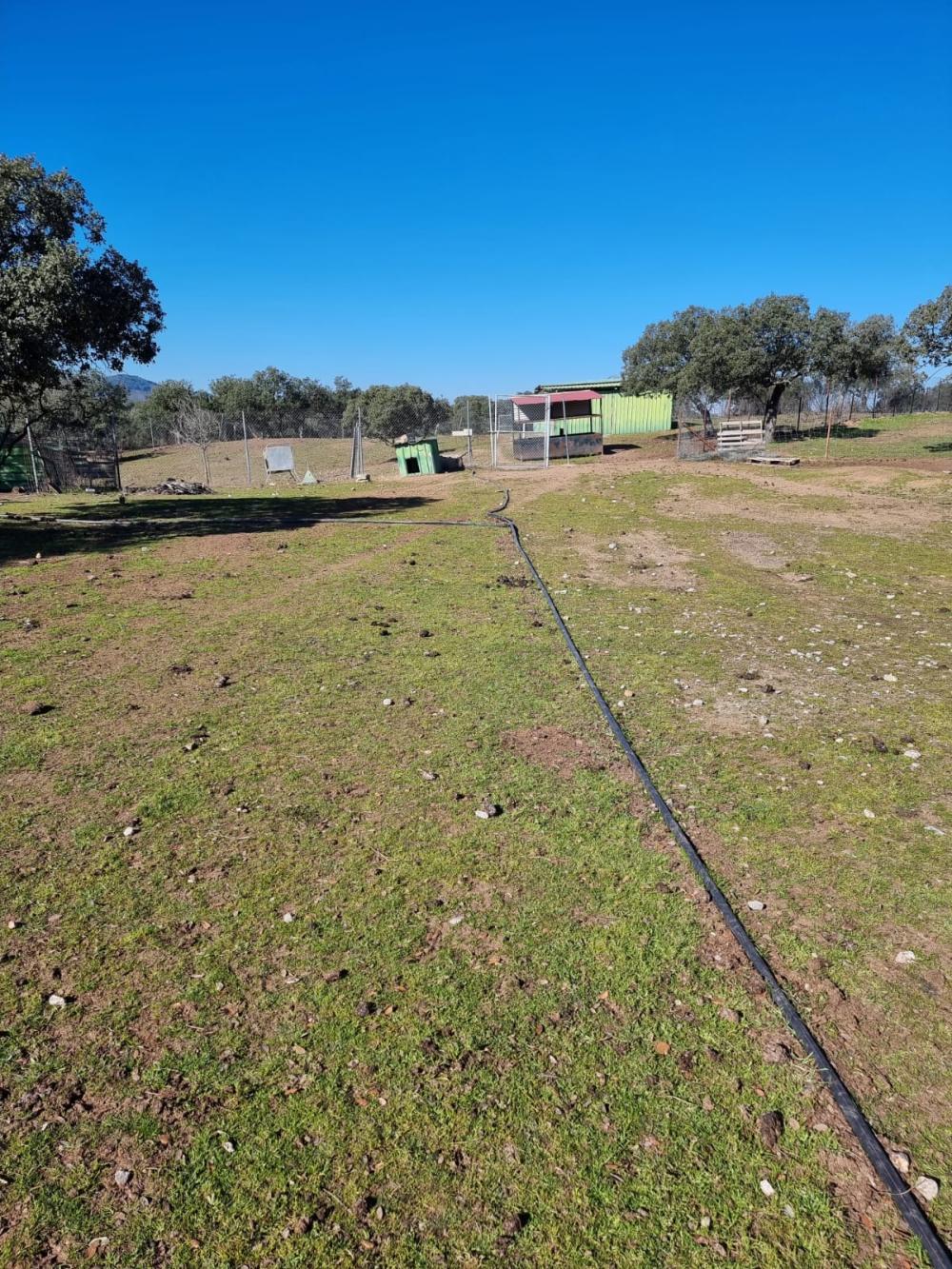  for sale country house Pozoblanco Pedroches (Los) 20