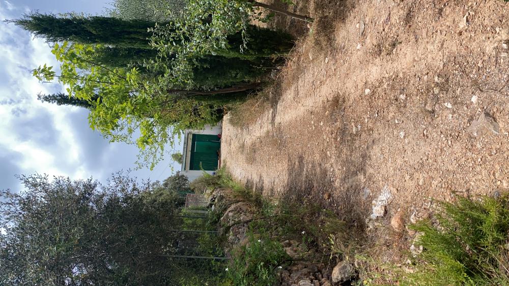  for sale plot Vilafamés Plana Alta 27