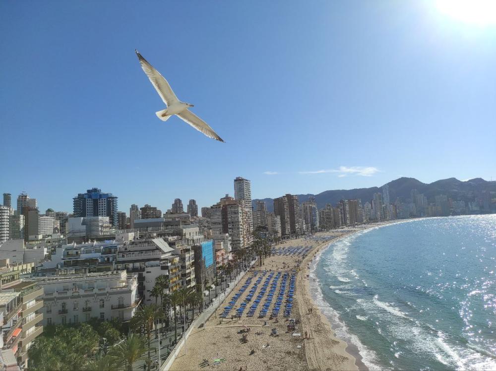  for sale apartment Benidorm (Centro) Marina Baixa 1