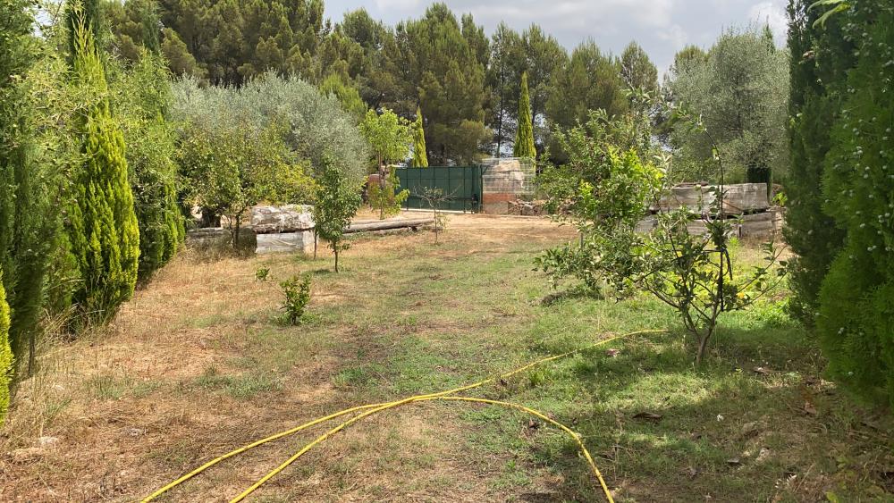  for sale plot Vilafamés Plana Alta 21