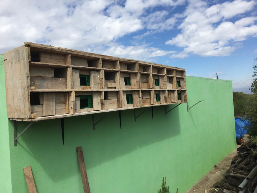  for sale plot Vilafamés Plana Alta 37