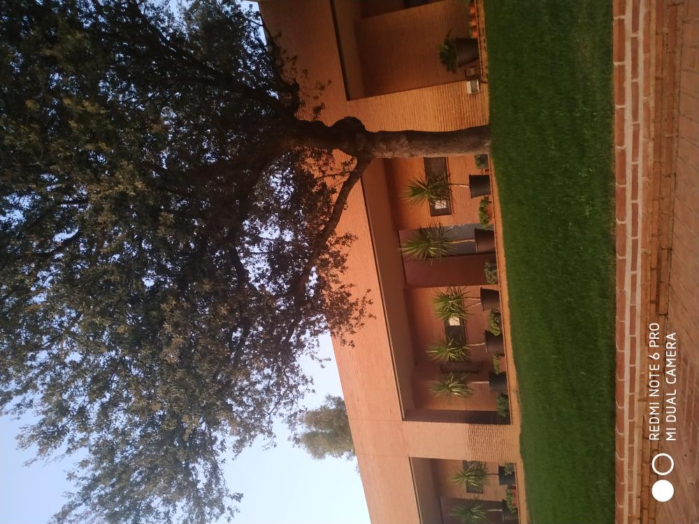  for sale villa Horcajo De Los Montes Montes 7
