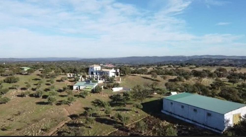  for sale country house Pozoblanco Pedroches (Los) 2