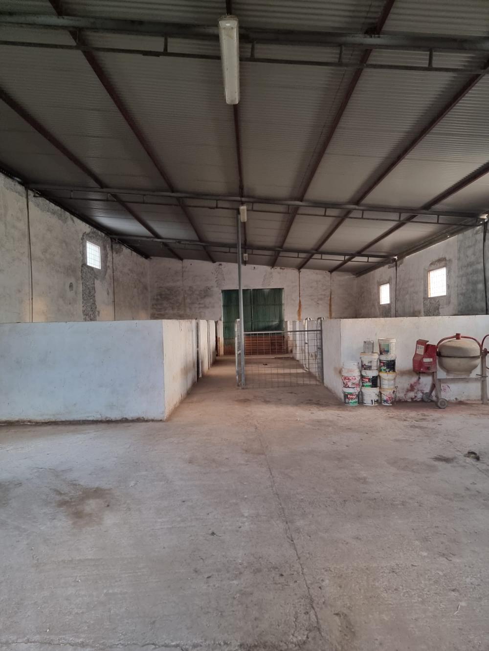  for sale country house Pozoblanco Pedroches (Los) 19