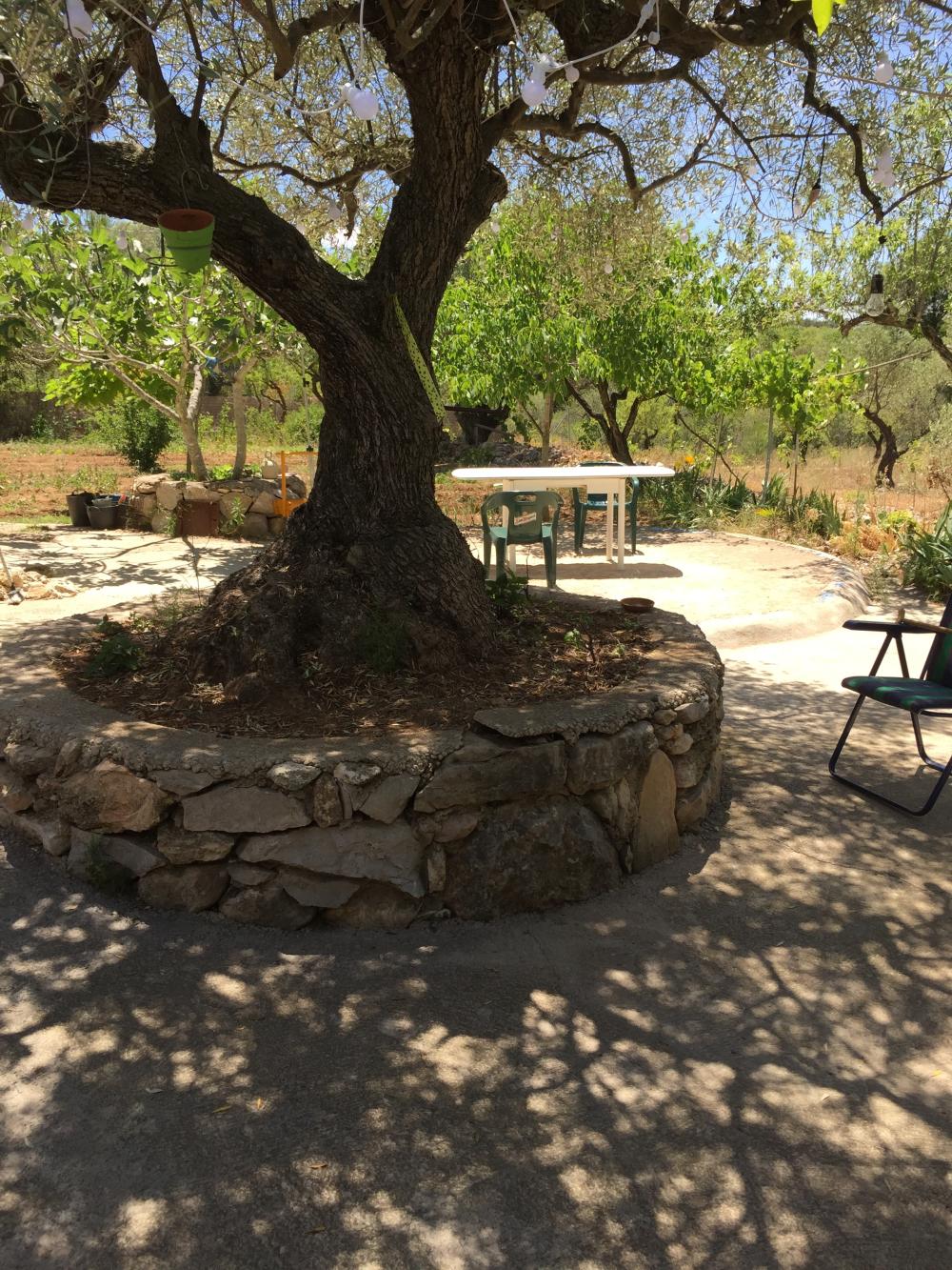  for sale plot Vilafamés Plana Alta 40