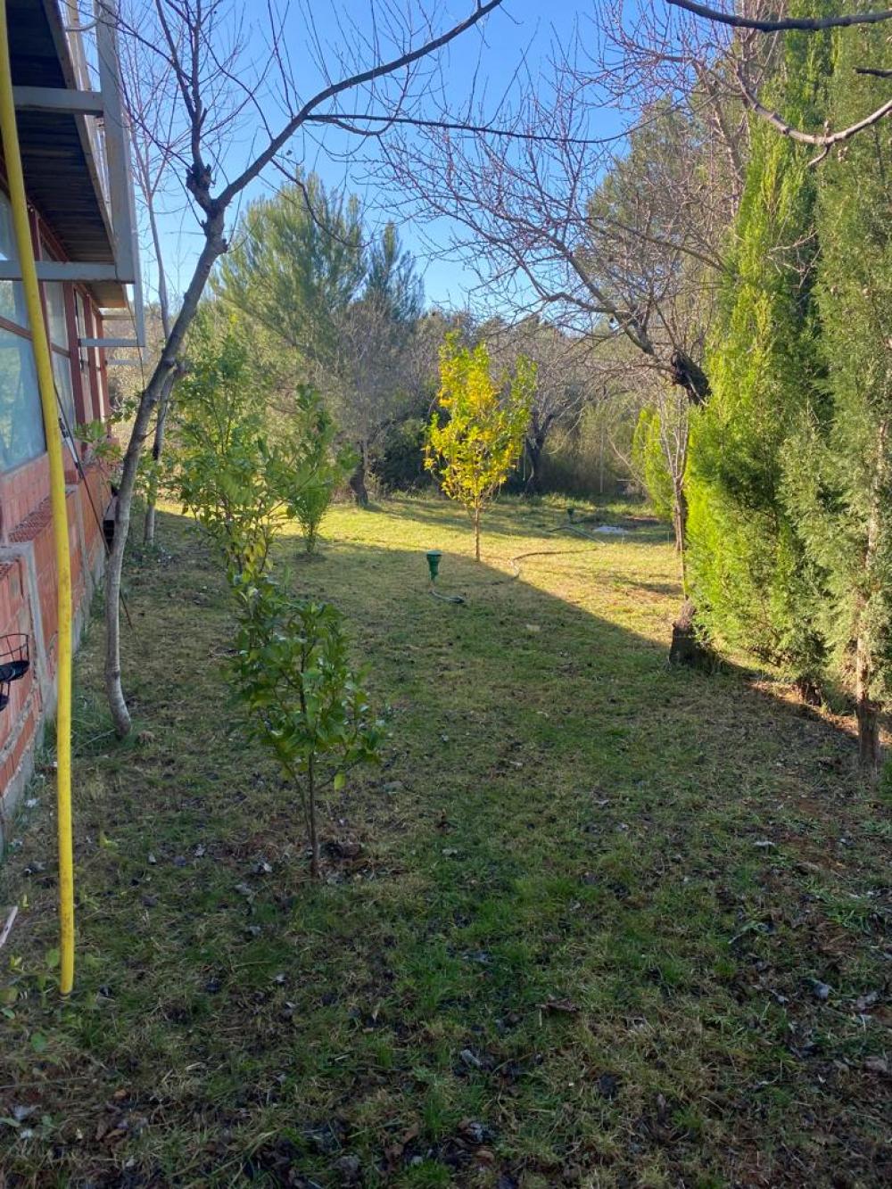 for sale plot Vilafamés Plana Alta 49