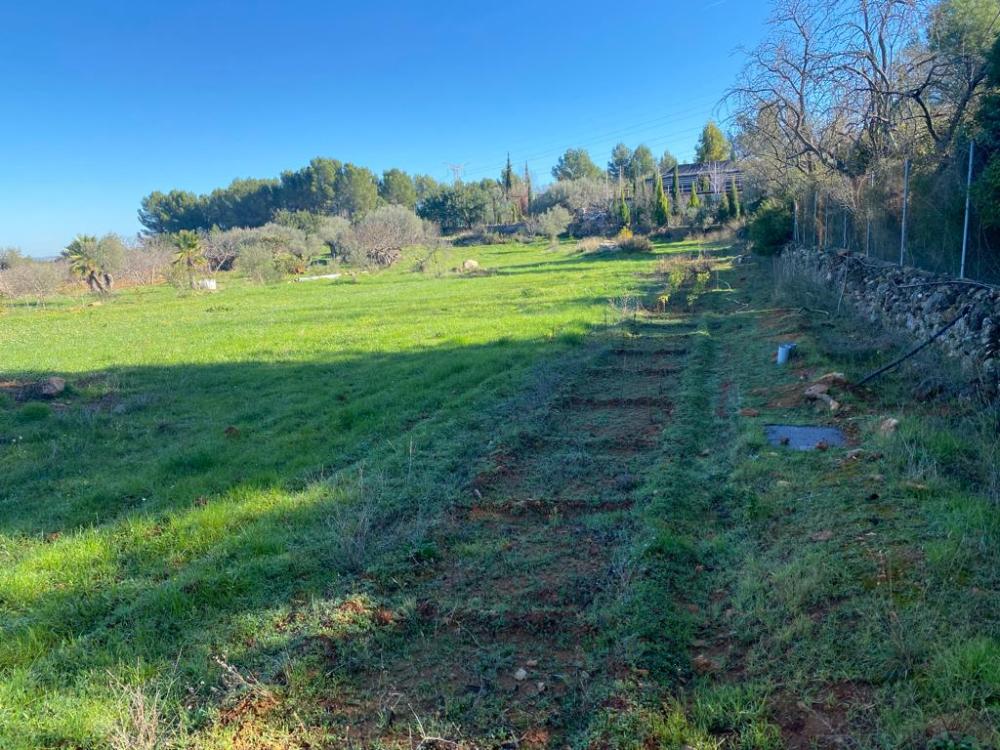  for sale plot Vilafamés Plana Alta 46
