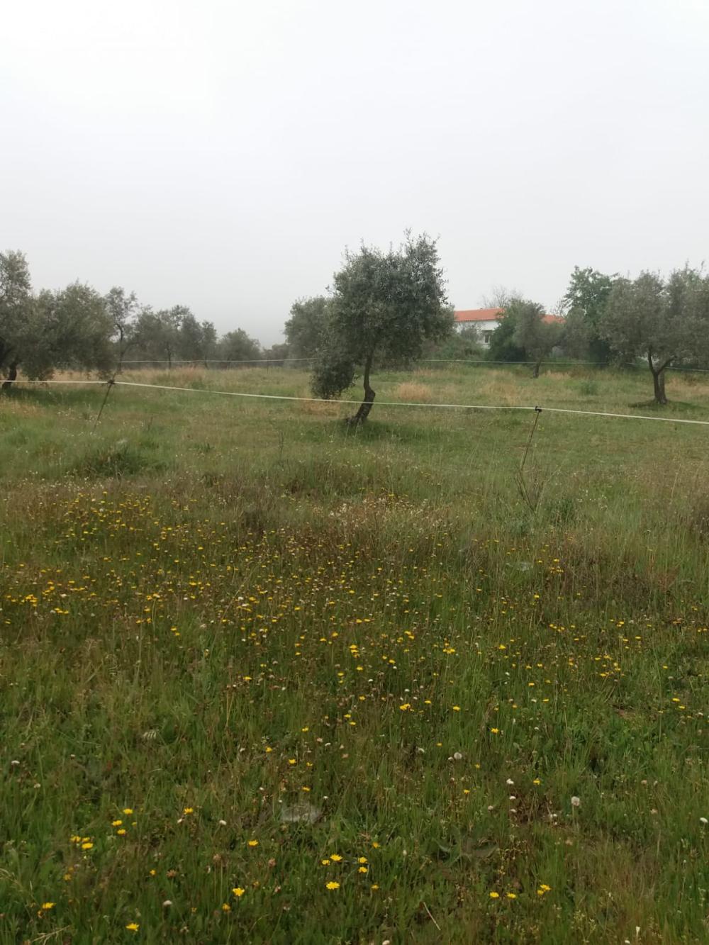  for sale country house Espiel Valle Del Guadiato 3