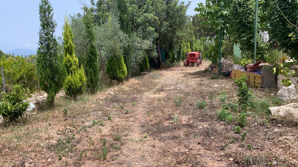  for sale plot Vilafamés Plana Alta 20