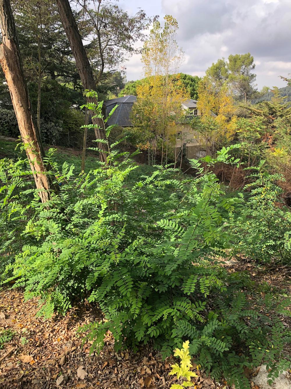 for sale plot Les Planes Vallès Occidental 4
