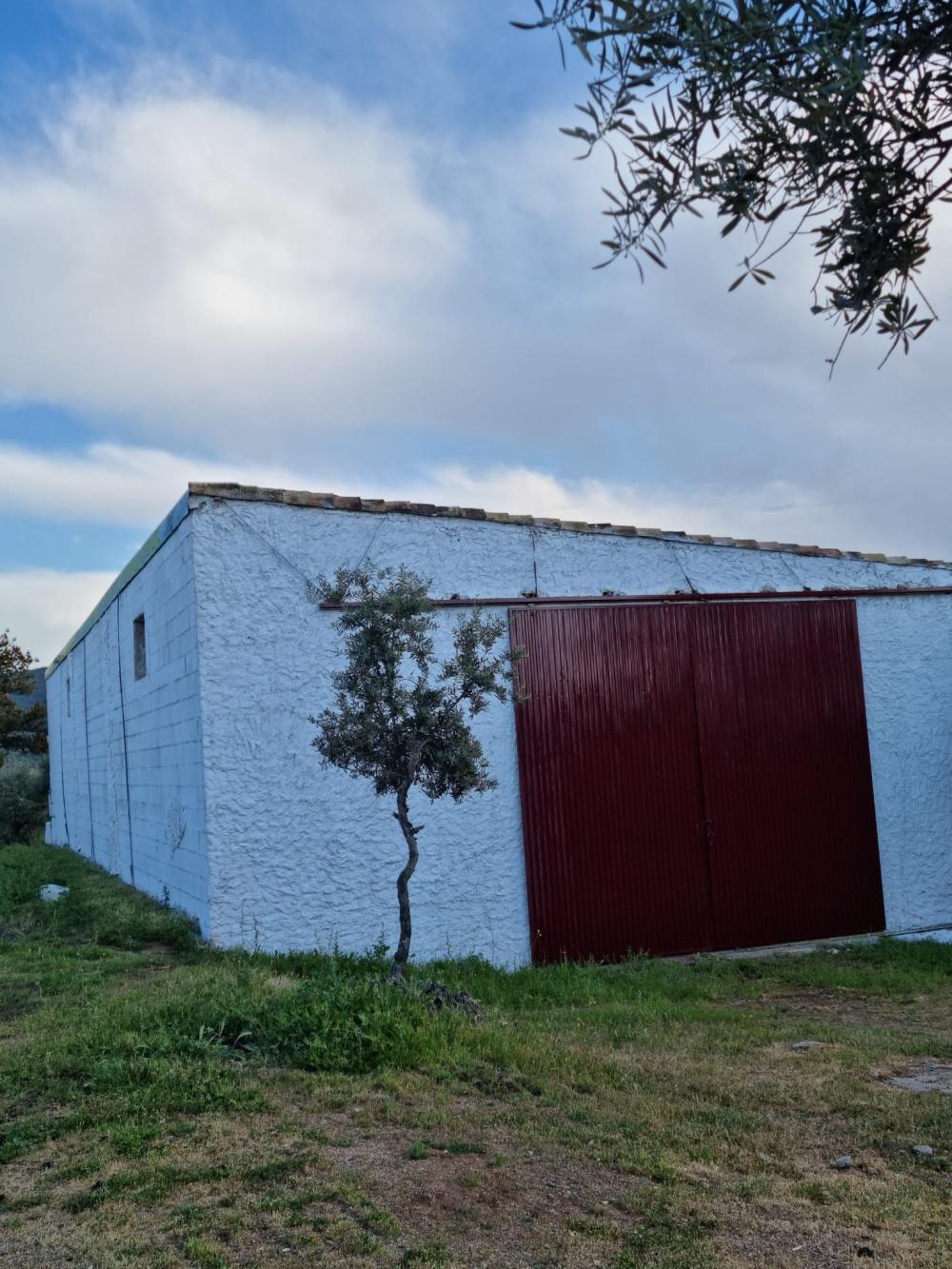  for sale country house Pozoblanco Pedroches (Los) 18